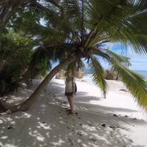 Anse Badamire Beach - Turtle Survey