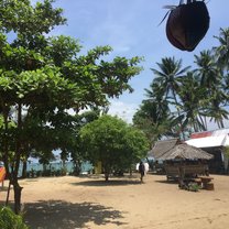 Tigman Village 