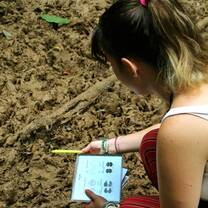 Mammal Tracks