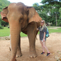 Elephant Nature Park