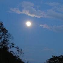 Full moon in the sky with some clouds and trees on the background