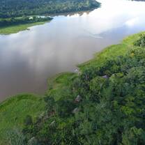 aquicuana