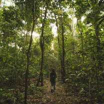 Trail