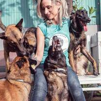 Animal Mama Intern Program Cambodia