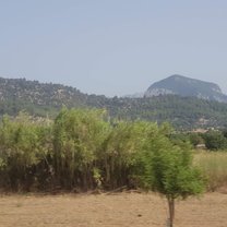 Views in Mallorca