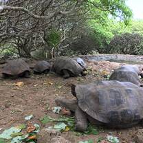 Variety of animals on San Cristobal Island