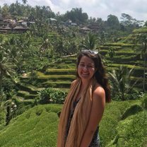 Ubud Rice Fields in Bali, Indonesia for Intern HQ study abroad