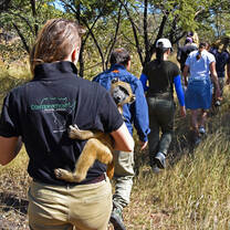 Enrichment Walk