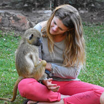Baby Monkey
