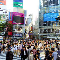 Group of interns in Tokyo