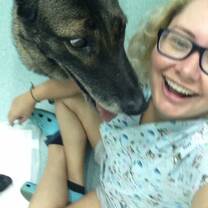 One of the amazing de-mining dogs I got to work with 