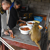 Meal Preperation