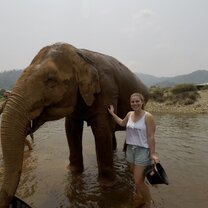 Bathing elephants in Thailand