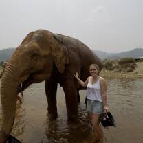 Bathing elephants in Thailand