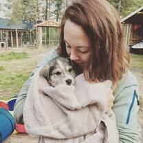 Veterinary Internships with Hetta Huskies