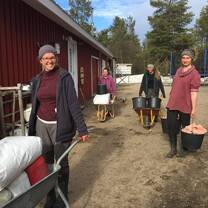 Veterinary Internships with Hetta Huskies