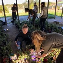 Planting a plant that photosynthesis up to 24 hours.