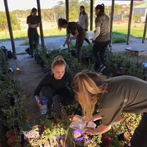 Planting a plant that photosynthesis up to 24 hours.