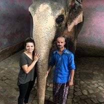 mahout