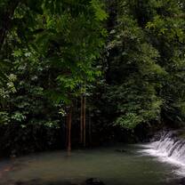 Waterhole discovered mid-hike