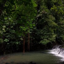 Waterhole discovered mid-hike