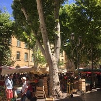 explore the street