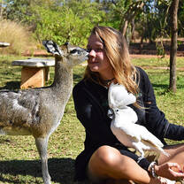 Klipspringer and Cockatoo