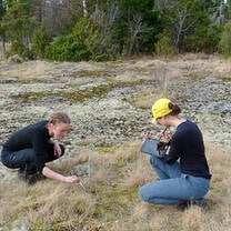 Lammi Biological Station International Internship Program