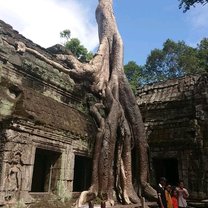 Ankgor Wat