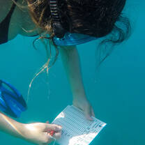 Coral Health Check