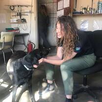 Zuri GVI Base Dog