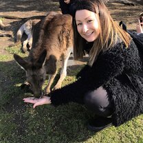 Feeding Kangaroo
