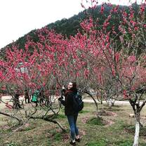 Teach in China