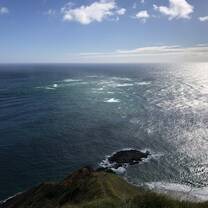 NZ