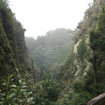Windy Canyon on Great Barrier Island 