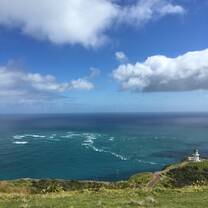Cape Reinga 