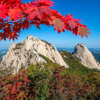 Mount Bukhan