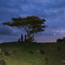 Scenery at night