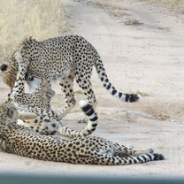 One of many incredible sights