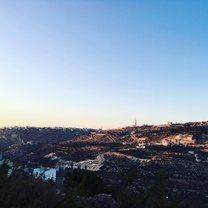 Beautiful hills of Palestine