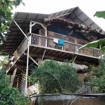 Your new home in the tropical rainforest Planet One World, Los Guardianes Wildlife Refuge, volunteering, agroecologic farm