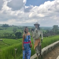 the rice fields