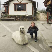 como se llama su llama
