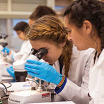 Students doing science