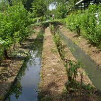 Planting techniques at Planet One World Planet One World, Los Guardianes Wildlife Refuge, volunteering, agroecologic farm