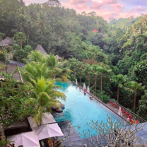 Jungle fish, one of the places volunteers go to 