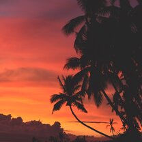 Playa Punta Uva sunset. There are no words to describe that. Planet One World, Los Guardianes Wildlife Refuge, volunteering, Playa Punta Uva