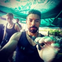 Baby turtles!