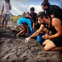 Releasing turtles into the ocean...