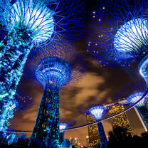 Experience the Gardens by the Bay - Absolute Internship Singapore